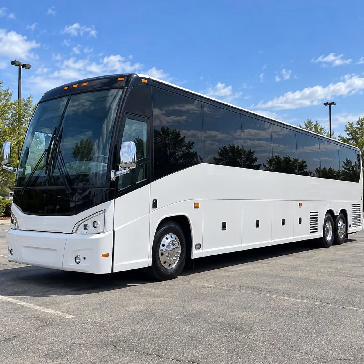whether you need one bus or several gilbert prom transportation scales to your group